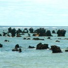 Luc Folliet; Nauru, 2005